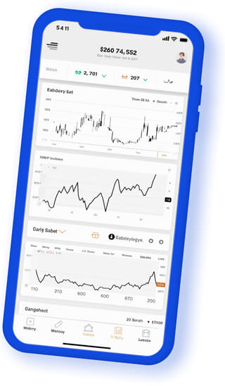 Vague Placencia digital web application on mobile device